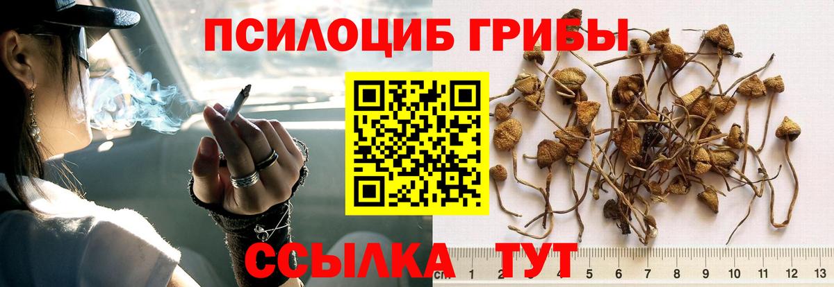 Галлюциногенные грибы ЛСД Лесосибирск